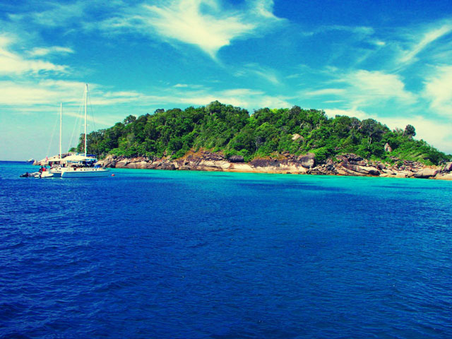 6 al 17 de Noviembre